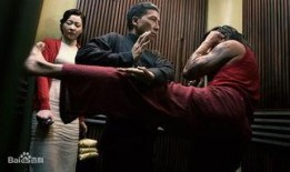 叶问在线观看,传承武魂，在线重温国术传奇